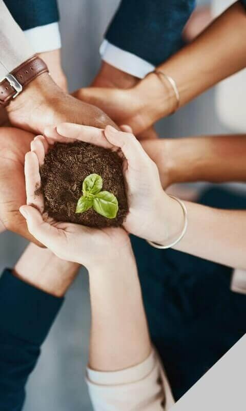 Investor Relations & CSR